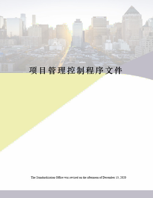 项目管理控制程序文件