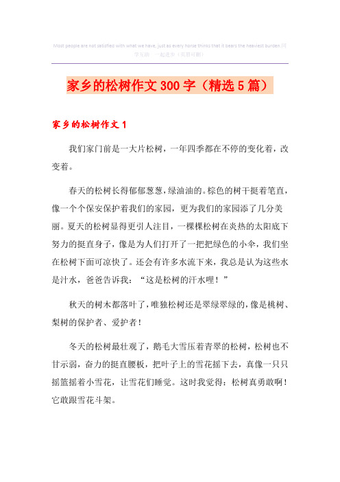 家乡的松树作文300字(精选5篇)