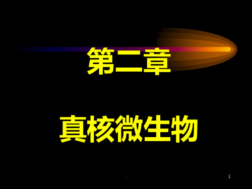 第二章-真核微生物PPT课件