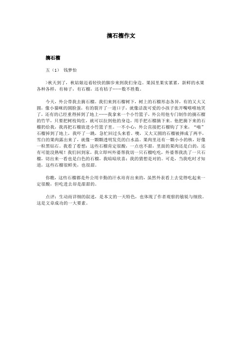 摘石榴作文