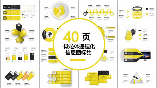 40页微粒体逻辑化图表集PPT模板