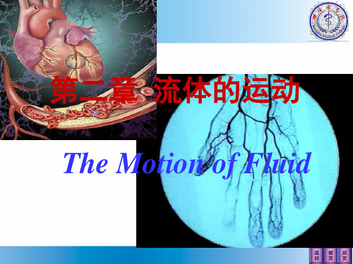 医学物理学-课件--流体的运动