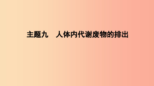 山东省2019年中考生物主题复习九人体内代谢废物的排出课件济南版PPT