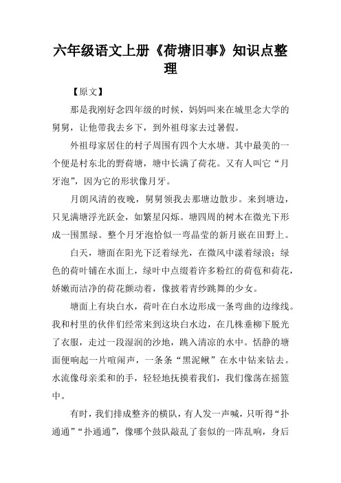 六年级语文上册《荷塘旧事》知识点整理