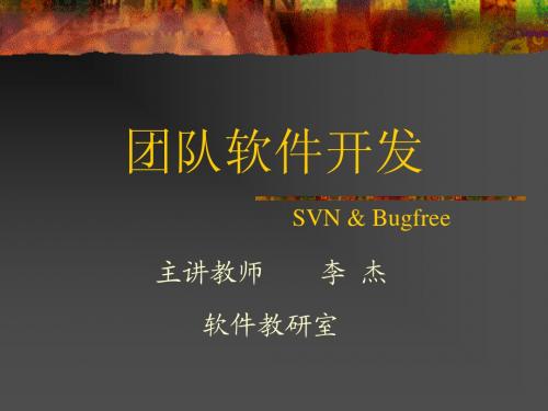 团队软件开发(Bugfree)