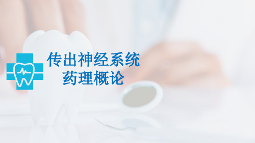 传出神经系统的受体ppt课件