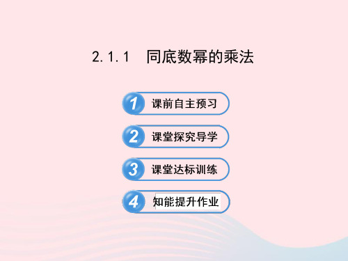七年级数学下册第2章整式的乘法2.1整式的乘法2.1.1同底数幂的乘法习题课件新版湘教版