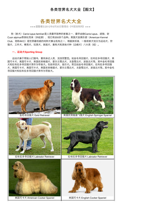 各类世界名犬大全【图文】