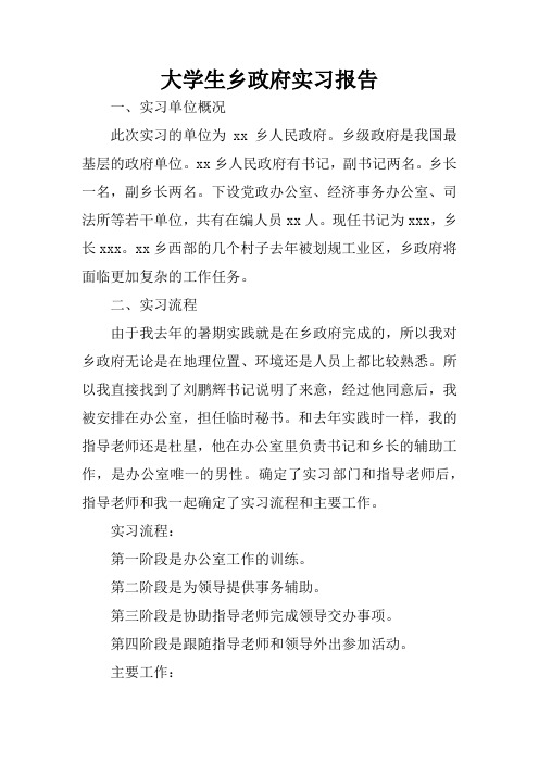 大学生乡政府实习报告