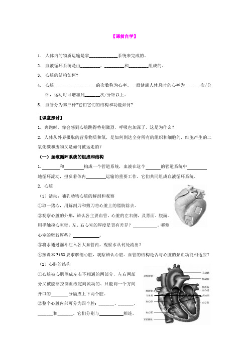 7.3人体内的物质运输教案(华师大版八年级上册) (3)