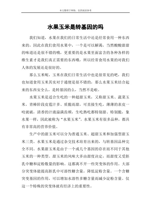 水果玉米是转基因的吗