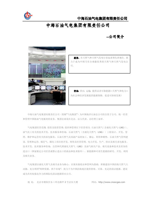 中海石油气电集团简介