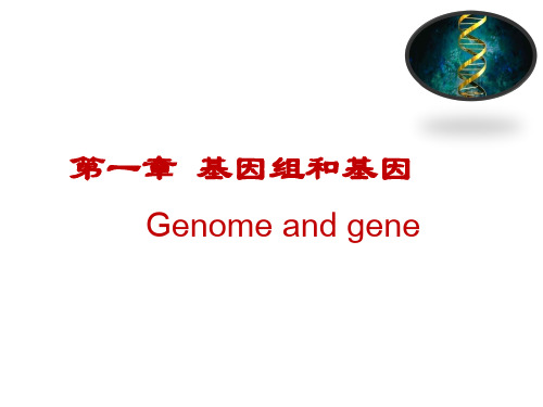 第一章 基因组和基因