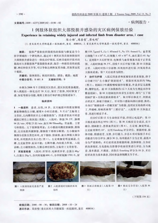 1例肢体软组织大部毁损并感染的灾区病例保肢经验