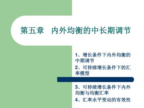 第五章内外均衡的中长期调节