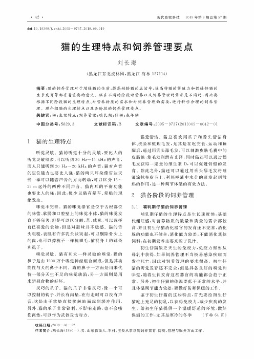 猫的生理特点和饲养管理要点