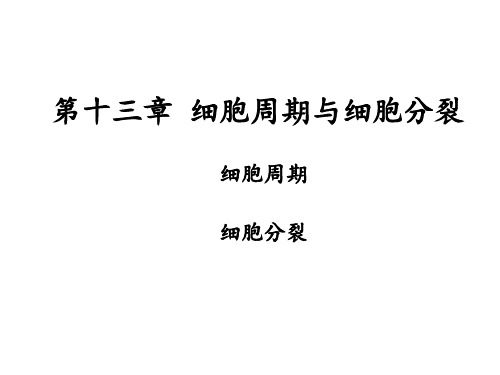 第十三章 细胞周期与细胞分裂