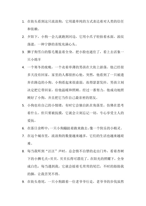 描写孤零零的小狗的段落