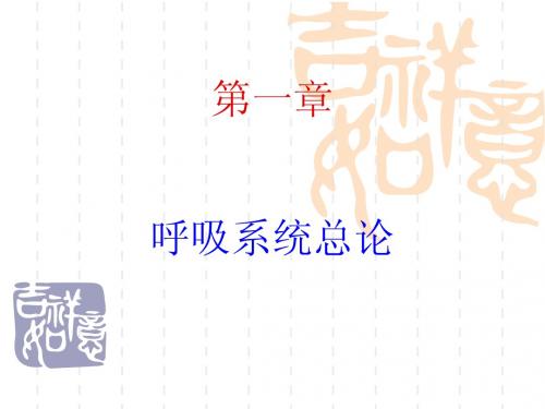 呼吸系统总论