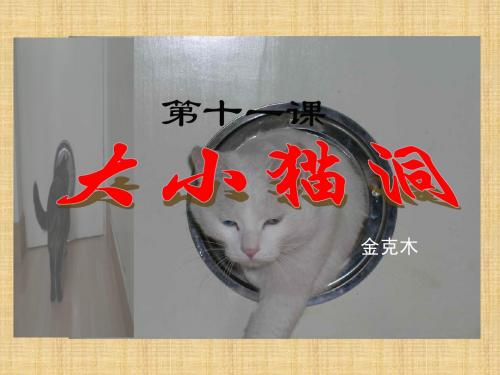 语文版九年级语文上册第3单元教学课件11  大小猫洞 (共23张PPT)