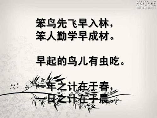 《早》课件