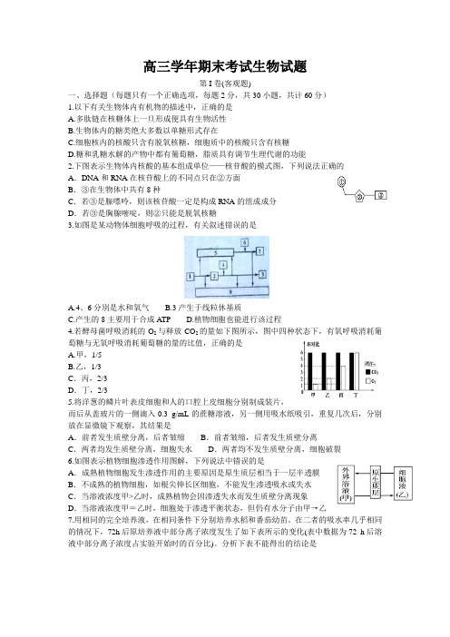 高三学年期末考试生物试题