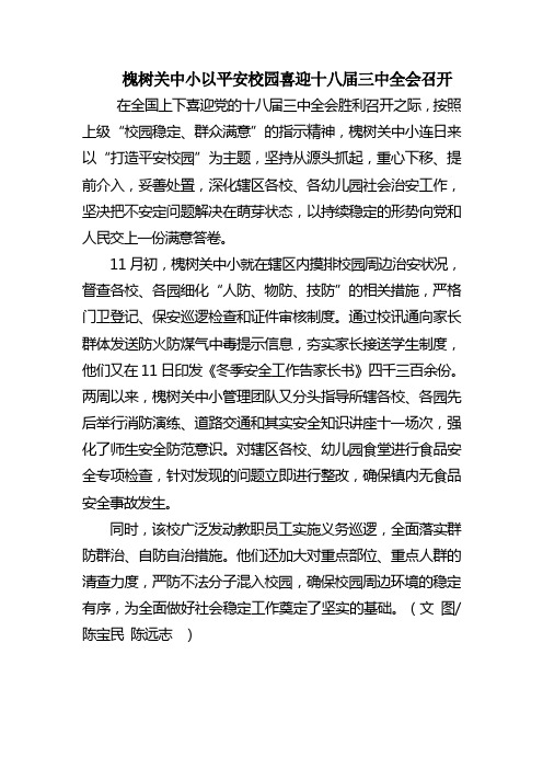 洋县槐树关中小(2013-11-11)槐树关中小打造平安校园喜迎十八届三中全会召开