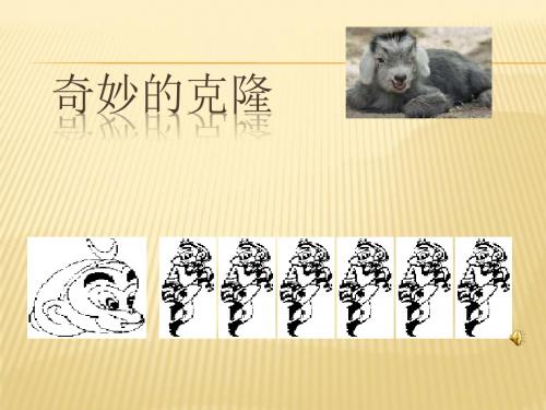 2015-2016苏教版语文八年级上册第六单元课件：第27课《奇妙的克隆》(共39张PPT)(1)