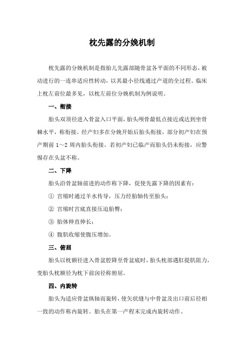 枕先露的分娩机制