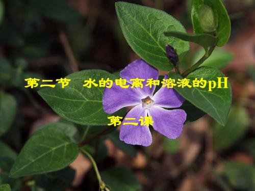 水溶液中的离子平衡 PPT2 人教课标版3