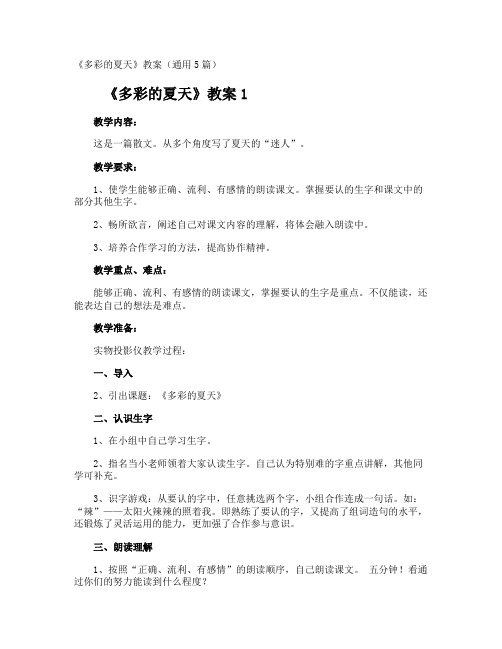 《多彩的夏天》教案