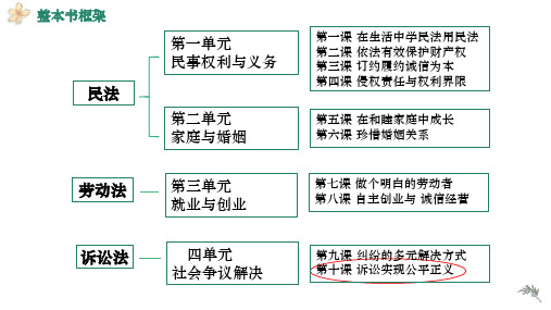 依法收集运用证据(课件)高二政治(统编版选择性必修2)