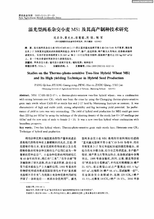 温光型两系杂交小麦MS1及其高产制种技术研究