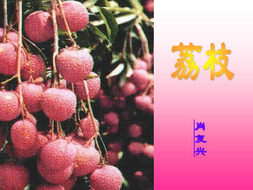 《荔枝》课堂演示课件