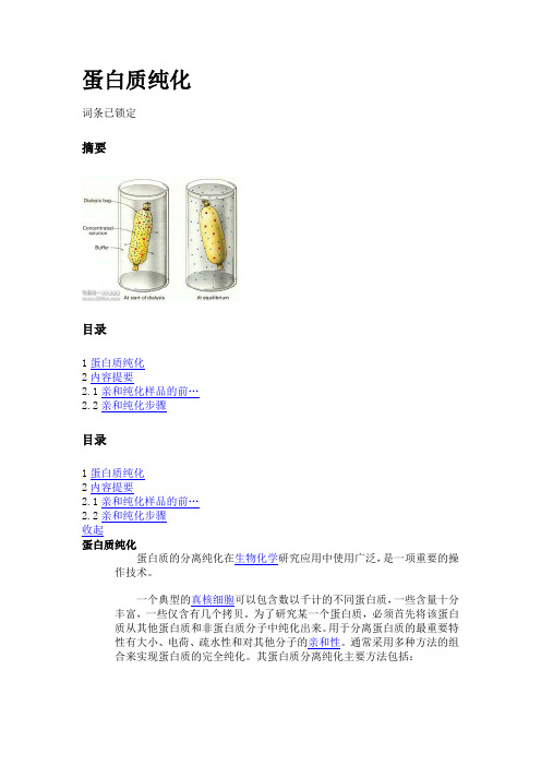 蛋白质纯化