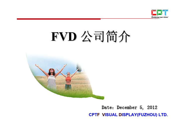 FVD公司简介(2012.10)