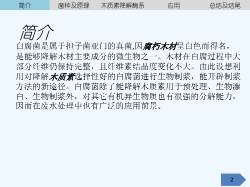 白腐真菌的研究 PPT