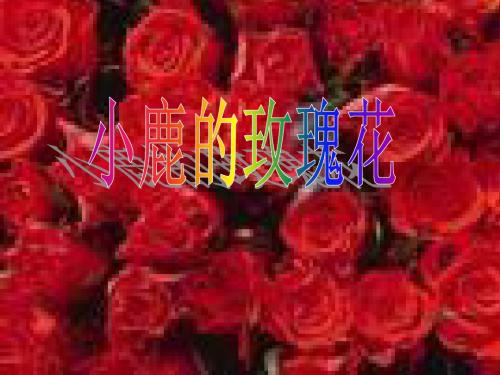 小鹿的玫瑰花课件PPT下载 人教版新课标二年级语文下册课件