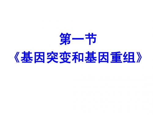 基因突变和基因重组课件