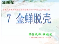 金蝉脱壳课件