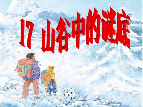17 山谷中的谜底