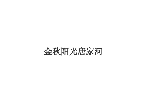 金秋阳光唐家河