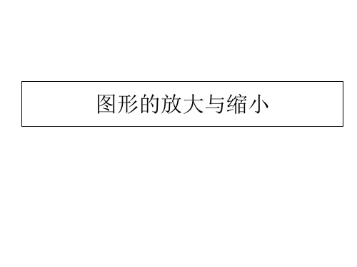 六年级上册数学课件- 图形的放大与缩小ppt浙教版 (共12页)