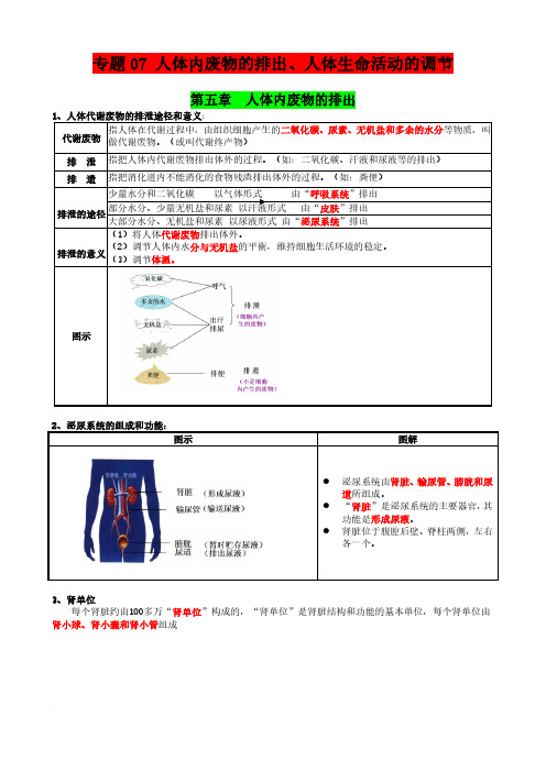 中考生物必背考点——专题07 人体内废物的排出、人体生命活动的调节