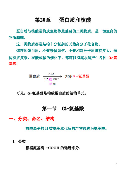 Ch.20 蛋白质和核酸