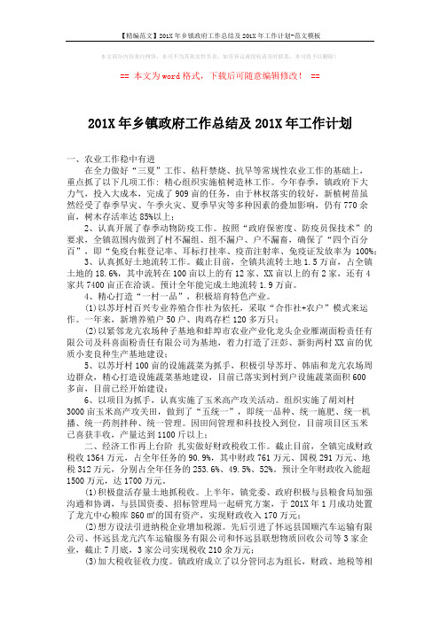 【精编范文】201X年乡镇政府工作总结及201X年工作计划-范文模板 (2页)