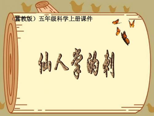 五年级上册科学课件-第8课《仙人掌的刺》｜冀教版