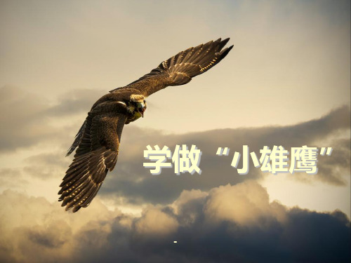 人教版二年级思品《学做小雄鹰》课件
