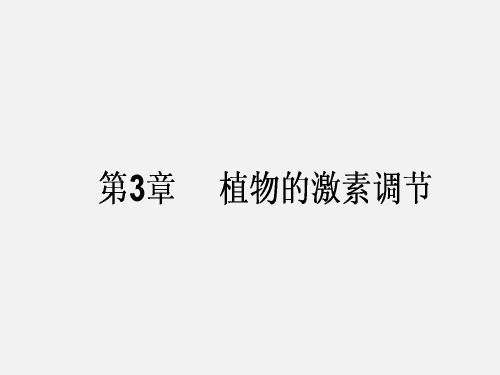 高考生物 一轮复习 植物的激素调节 新人教必修3