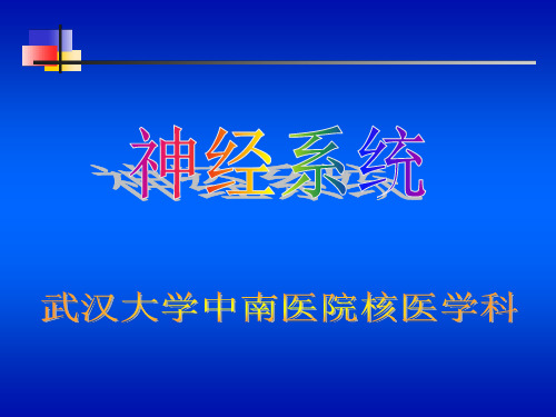 【核医学 课件 PPT】神经系统核医学